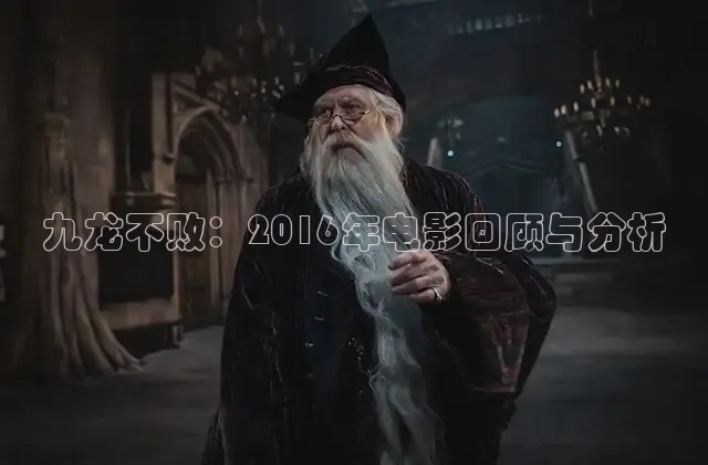 老湿影视